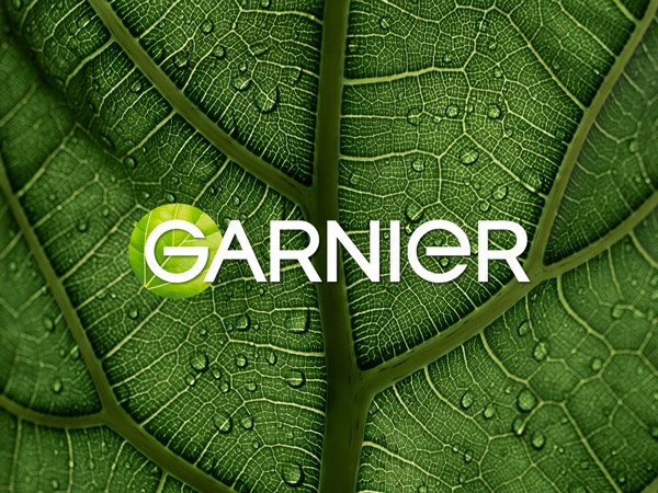 Garnier LP Leaf Content block 600x450